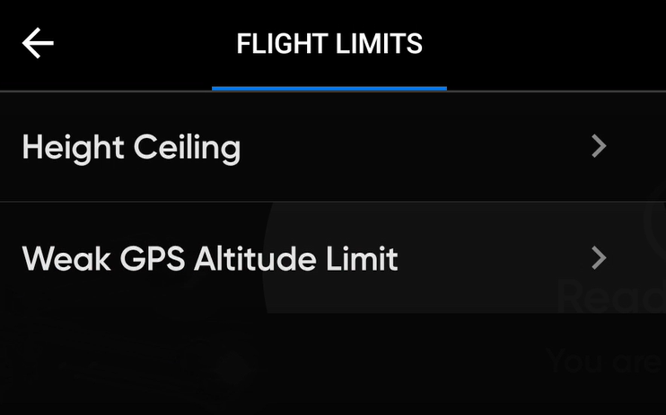 CS_X2E_Flight_Limits_menu_UI.png