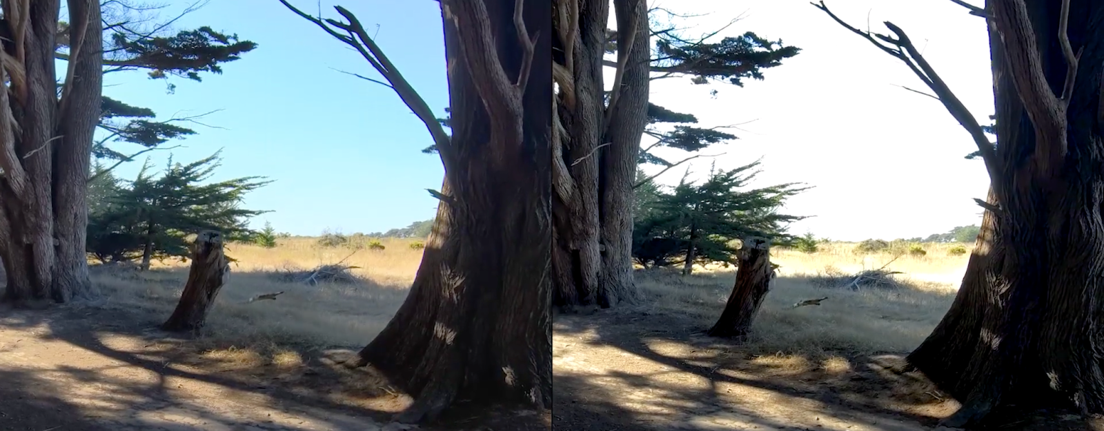 CS_media_HDR-on-example.png