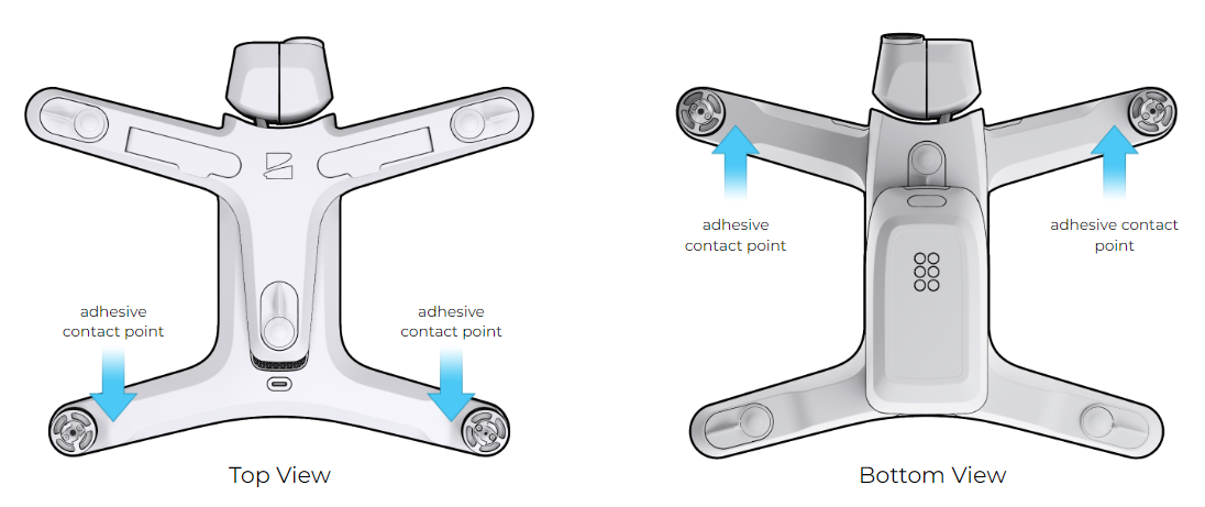 Top_and_bottom_labeled.png