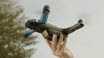 6q9vov.gif