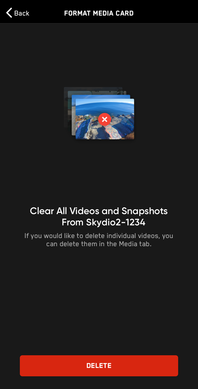 format.2.png