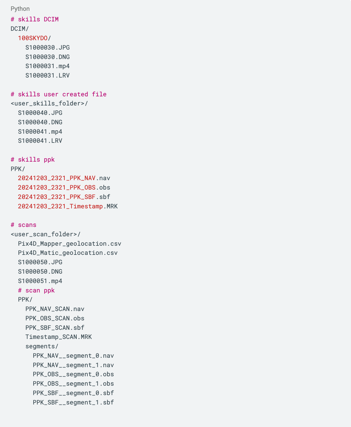 CS_X10_RTK_PPK_metadata_example_scan_files.png
