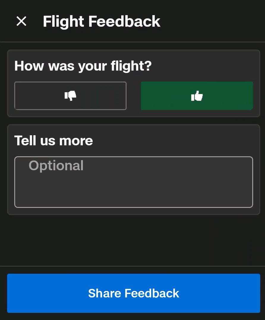Screenshot of Feedback pop-up show to pilots on controller after landing